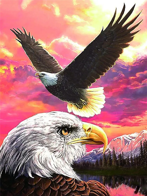 Pink Sunset Eagle Duo
