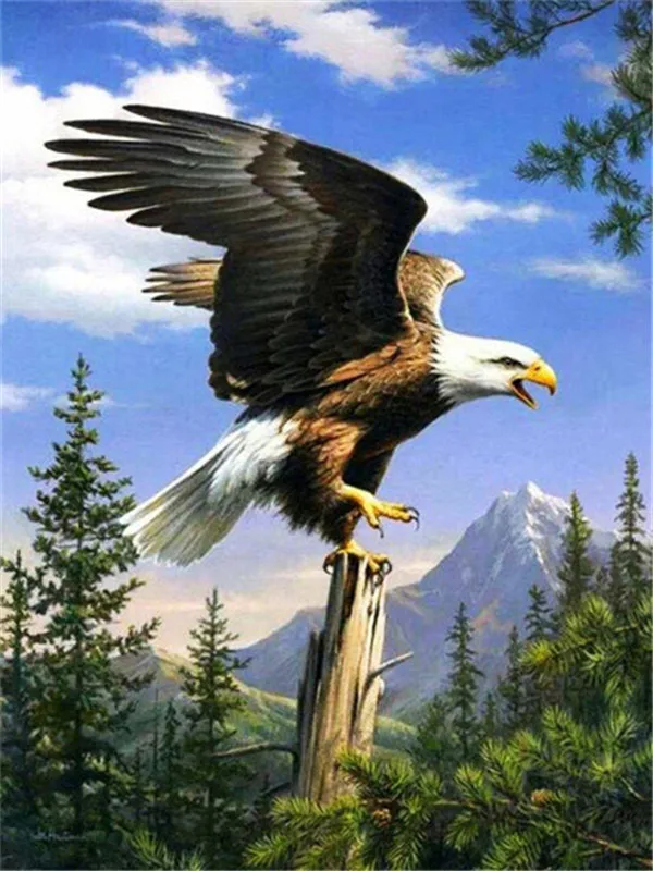 Mountain Perch Eagle