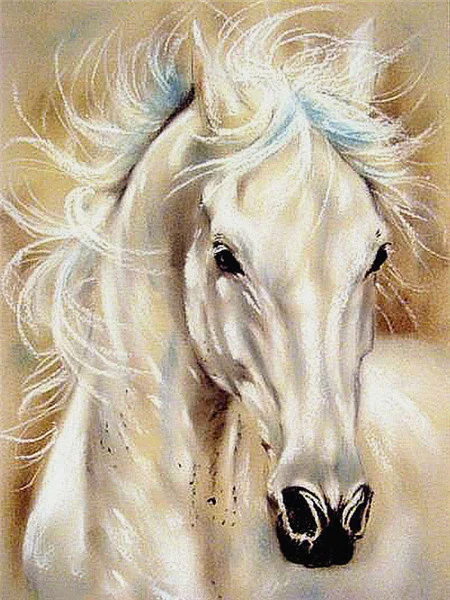 Pastel White Stallion