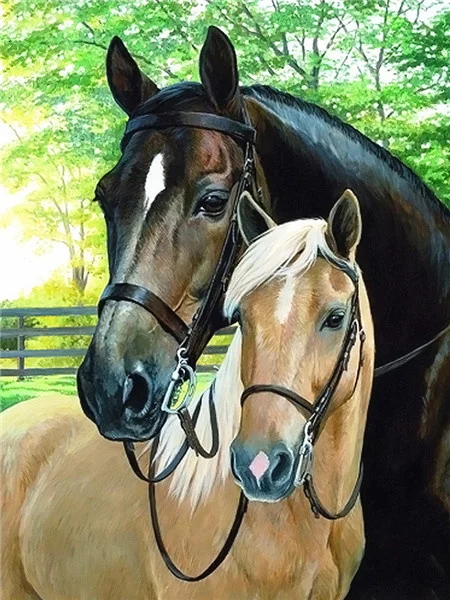 Two Horses Together