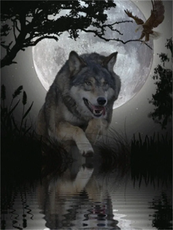 Wolf Beneath the Full Moon