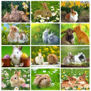 HUACAN Diamond Painting Kit – Bunny Rabbit
