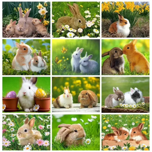HUACAN Diamond Painting Kit – Bunny Rabbit