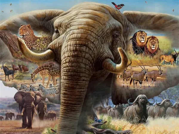 Elephant Head Montage