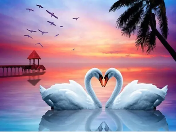 Tropical Sunset Swans