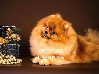 Puppy with Treasure Chest