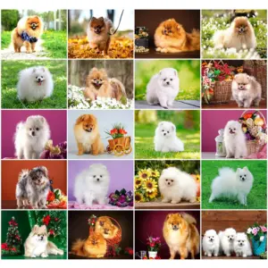 HUACAN Diamond Painting Kit – Puppy Portrait
