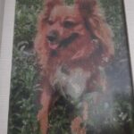 HUACAN Custom Photo Diamond Painting Kit – Wall Art – photo 2