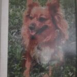 HUACAN Custom Photo Diamond Painting Kit – Wall Art – photo 2