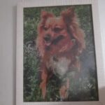 HUACAN Custom Photo Diamond Painting Kit – Wall Art – photo 2