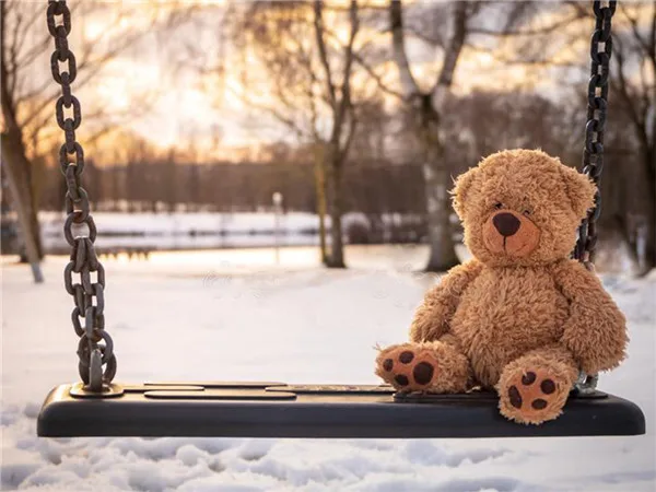 Bear on Swing