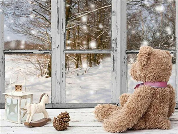 Bear by the Window