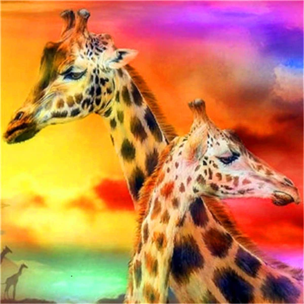 Sunset Sky Duo