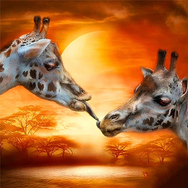 Golden Sunset Kiss